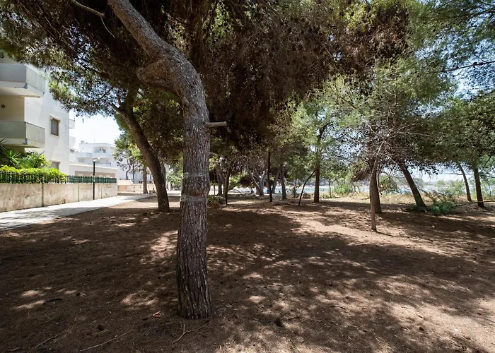 La Playa Rivabella Apartment *