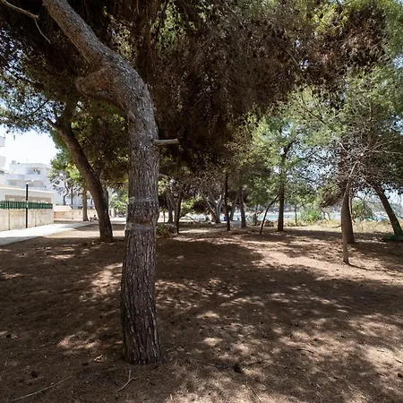 La Playa Rivabella アパート *